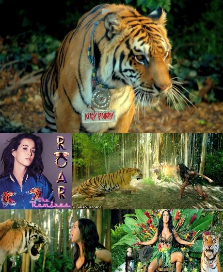 http://csillagszeme.hupont.hu/felhasznalok_uj/2/5/259872/kepfeltoltes/katy_perry_-_roar_-_tigris000.jpg?36977514